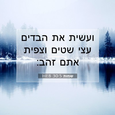 Picture 07 - שמות 30:5 HEB - ועשית את הבדים עצי שטים - Bible Verse Picture