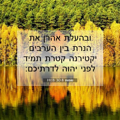 Picture 07 - שמות 30:8 HEB - ובהעלת אהרן את הנרת בין - Bible Verse Picture