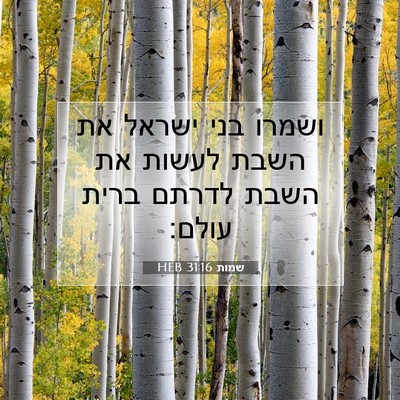 Picture 07 - שמות 31:16 HEB - ושמרו בני ישראל את השבת - Bible Verse Picture