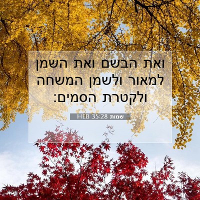 Picture 07 - שמות 35:28 HEB - ואת הבשם ואת השמן למאור - Bible Verse Picture