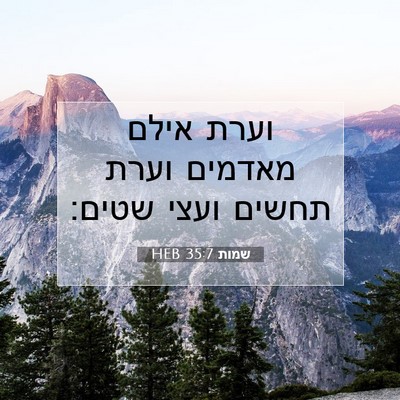 Picture 07 - שמות 35:7 HEB - וערת אילם מאדמים וערת - Bible Verse Picture