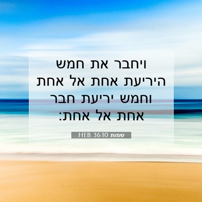 Picture 07 - שמות 36:10 HEB - ויחבר את חמש היריעת אחת אל - Bible Verse Picture