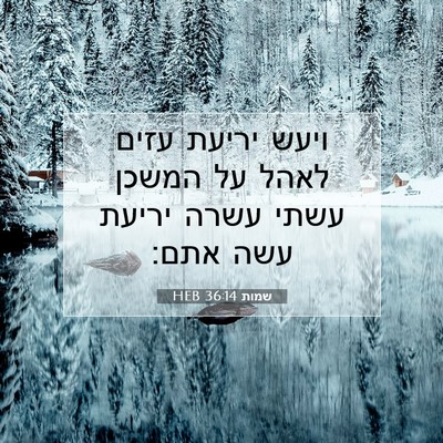 Picture 07 - שמות 36:14 HEB - ויעש יריעת עזים לאהל על - Bible Verse Picture
