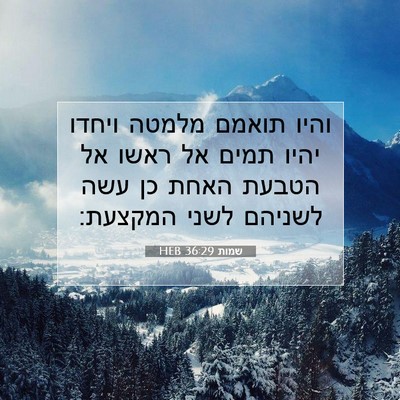 Picture 07 - שמות 36:29 HEB - והיו תואמם מלמטה ויחדו - Bible Verse Picture