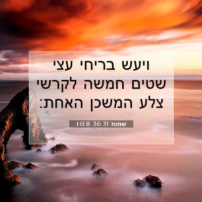 Picture 07 - שמות 36:31 HEB - ויעש בריחי עצי שטים חמשה - Bible Verse Picture