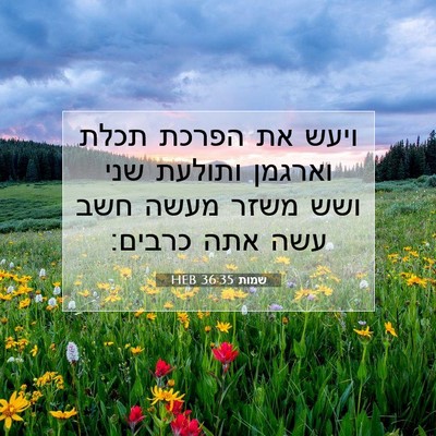 Picture 07 - שמות 36:35 HEB - ויעש את הפרכת תכלת וארגמן - Bible Verse Picture
