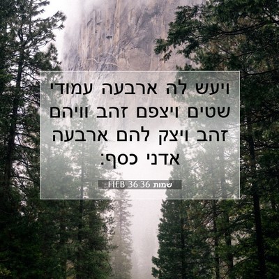 Picture 07 - שמות 36:36 HEB - ויעש לה ארבעה עמודי שטים - Bible Verse Picture