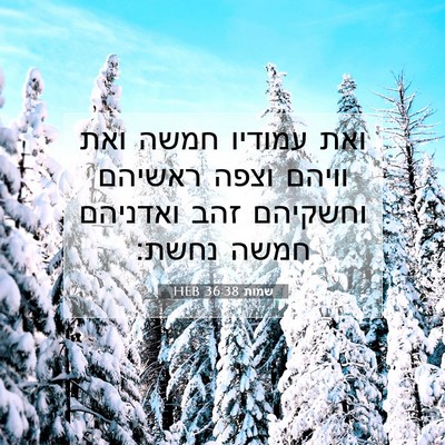 Picture 07 - שמות 36:38 HEB - ואת עמודיו חמשה ואת וויהם - Bible Verse Picture