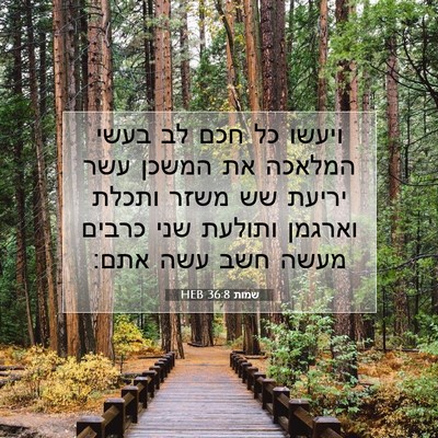 Picture 07 - שמות 36:8 HEB - ויעשו כל חכם לב בעשי המלאכה - Bible Verse Picture