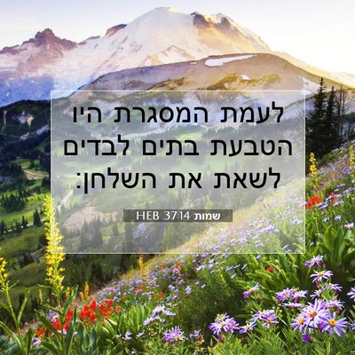 Picture 07 - שמות 37:14 HEB - לעמת המסגרת היו הטבעת בתים - Bible Verse Picture