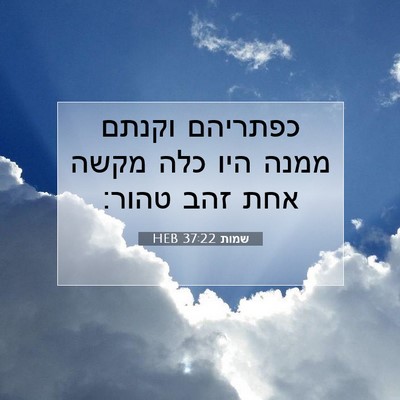 Picture 07 - שמות 37:22 HEB - כפתריהם וקנתם ממנה היו כלה - Bible Verse Picture
