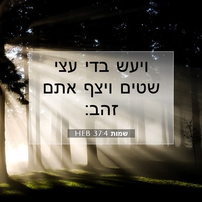Picture 07 - שמות 37:4 HEB - ויעש בדי עצי שטים ויצף אתם - Bible Verse Picture