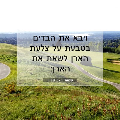 Picture 07 - שמות 37:5 HEB - ויבא את הבדים בטבעת על צלעת - Bible Verse Picture