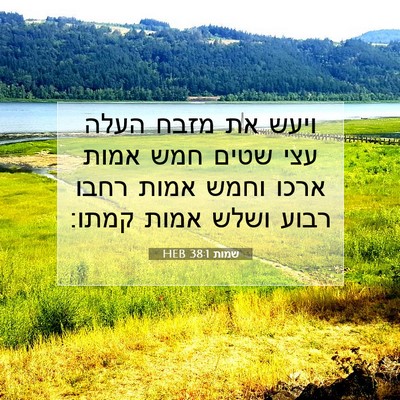 Picture 07 - שמות 38:1 HEB - ויעש את מזבח העלה עצי שטים - Bible Verse Picture