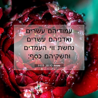 Picture 07 - שמות 38:10 HEB - עמודיהם עשרים ואדניהם - Bible Verse Picture