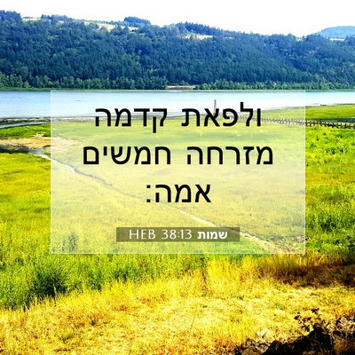 Picture 07 - שמות 38:13 HEB - ולפאת קדמה מזרחה חמשים - Bible Verse Picture