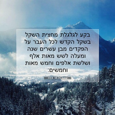 Picture 07 - שמות 38:26 HEB - בקע לגלגלת מחצית השקל בשקל - Bible Verse Picture