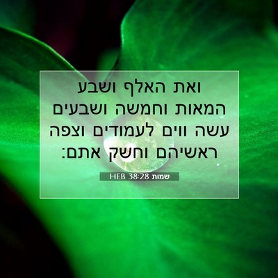 Picture 07 - שמות 38:28 HEB - ואת האלף ושבע המאות וחמשה - Bible Verse Picture
