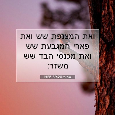 Picture 07 - שמות 39:28 HEB - ואת המצנפת שש ואת פארי - Bible Verse Picture