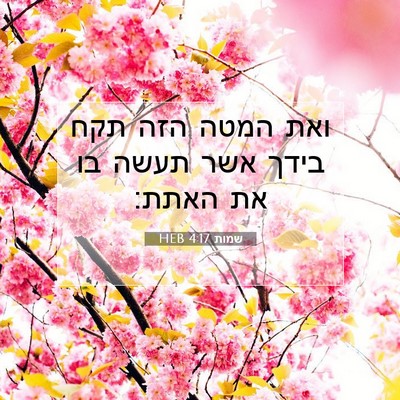 Picture 07 - שמות 4:17 HEB - ואת המטה הזה תקח בידך אשר - Bible Verse Picture