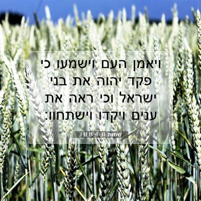 Picture 07 - שמות 4:31 HEB - ויאמן העם וישמעו כי פקד - Bible Verse Picture