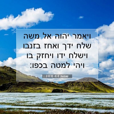 Picture 07 - שמות 4:4 HEB - ויאמר יהוה אל משה שלח ידך - Bible Verse Picture