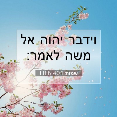 Picture 07 - שמות 40:1 HEB - וידבר יהוה אל משה - Bible Verse Picture