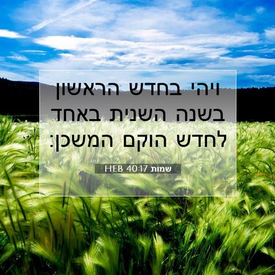 Picture 07 - שמות 40:17 HEB - ויהי בחדש הראשון בשנה - Bible Verse Picture
