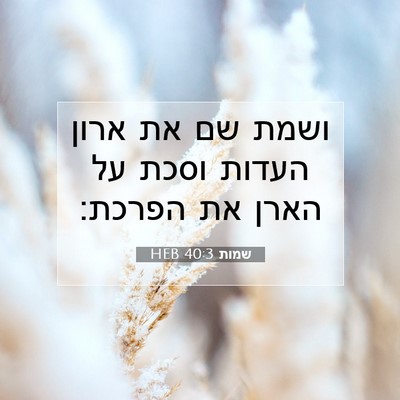 Picture 07 - שמות 40:3 HEB - ושמת שם את ארון העדות וסכת - Bible Verse Picture