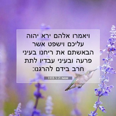 Picture 07 - שמות 5:21 HEB - ויאמרו אלהם ירא יהוה עליכם - Bible Verse Picture