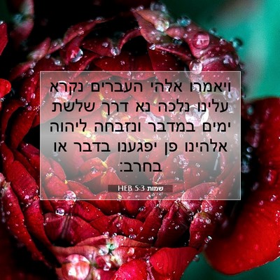Picture 07 - שמות 5:3 HEB - ויאמרו אלהי העברים נקרא - Bible Verse Picture