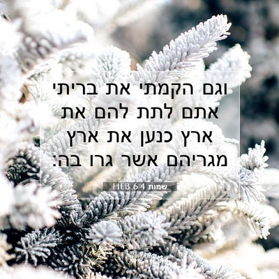 Picture 07 - שמות 6:4 HEB - וגם הקמתי את בריתי אתם לתת - Bible Verse Picture