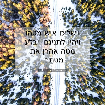 Picture 07 - שמות 7:12 HEB - וישליכו איש מטהו ויהיו - Bible Verse Picture