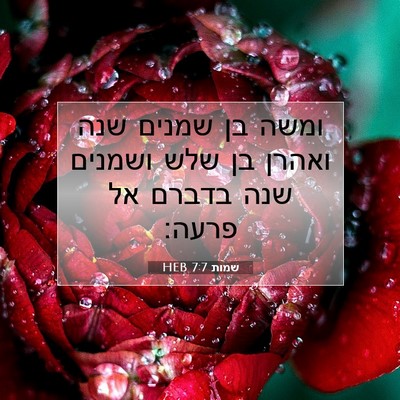 Picture 07 - שמות 7:7 HEB - ומשה בן שמנים שנה ואהרן בן - Bible Verse Picture
