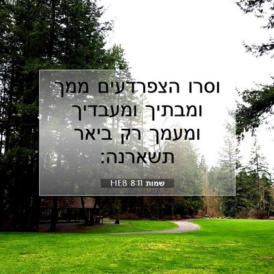 Picture 07 - שמות 8:11 HEB - וסרו הצפרדעים ממך ומבתיך - Bible Verse Picture