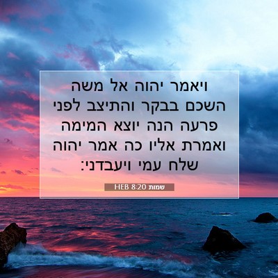 Picture 07 - שמות 8:20 HEB - ויאמר יהוה אל משה השכם בבקר - Bible Verse Picture