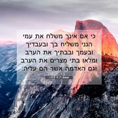 Picture 07 - שמות 8:21 HEB - כי אם אינך משלח את עמי הנני - Bible Verse Picture