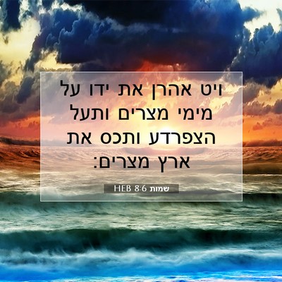 Picture 07 - שמות 8:6 HEB - ויט אהרן את ידו על מימי - Bible Verse Picture