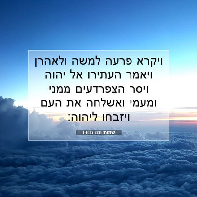 Picture 07 - שמות 8:8 HEB - ויקרא פרעה למשה ולאהרן - Bible Verse Picture