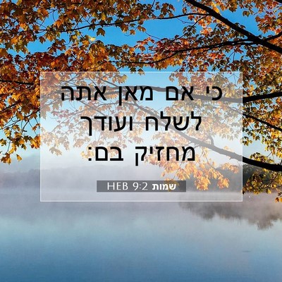 Picture 07 - שמות 9:2 HEB - כי אם מאן אתה לשלח ועודך - Bible Verse Picture