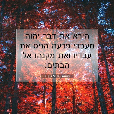 Picture 07 - שמות 9:20 HEB - הירא את דבר יהוה מעבדי פרעה - Bible Verse Picture
