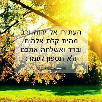 Picture 07 - שמות 9:28 HEB - העתירו אל יהוה ורב מהית קלת - Bible Verse Picture
