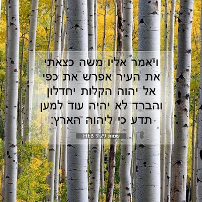 Picture 07 - שמות 9:29 HEB - ויאמר אליו משה כצאתי את - Bible Verse Picture