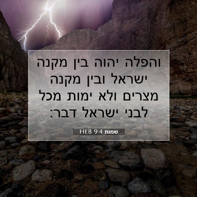 Picture 07 - שמות 9:4 HEB - והפלה יהוה בין מקנה ישראל - Bible Verse Picture