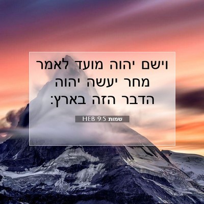 Picture 07 - שמות 9:5 HEB - וישם יהוה מועד לאמר מחר - Bible Verse Picture