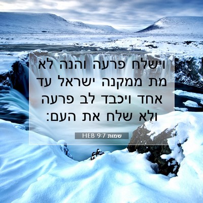 Picture 07 - שמות 9:7 HEB - וישלח פרעה והנה לא מת ממקנה - Bible Verse Picture
