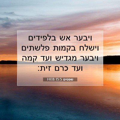 Picture 07 - שפטים 15:5 HEB - ויבער אש בלפידים וישלח - Bible Verse Picture