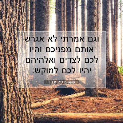 Picture 07 - שפטים 2:3 HEB - וגם אמרתי לא אגרש אותם - Bible Verse Picture