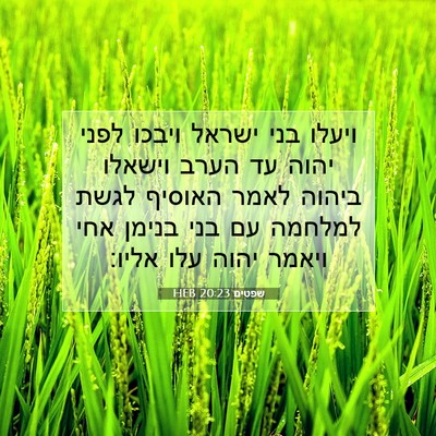 Picture 07 - שפטים 20:23 HEB - ויעלו בני ישראל ויבכו לפני - Bible Verse Picture