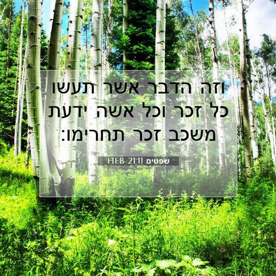 Picture 07 - שפטים 21:11 HEB - וזה הדבר אשר תעשו כל זכר - Bible Verse Picture